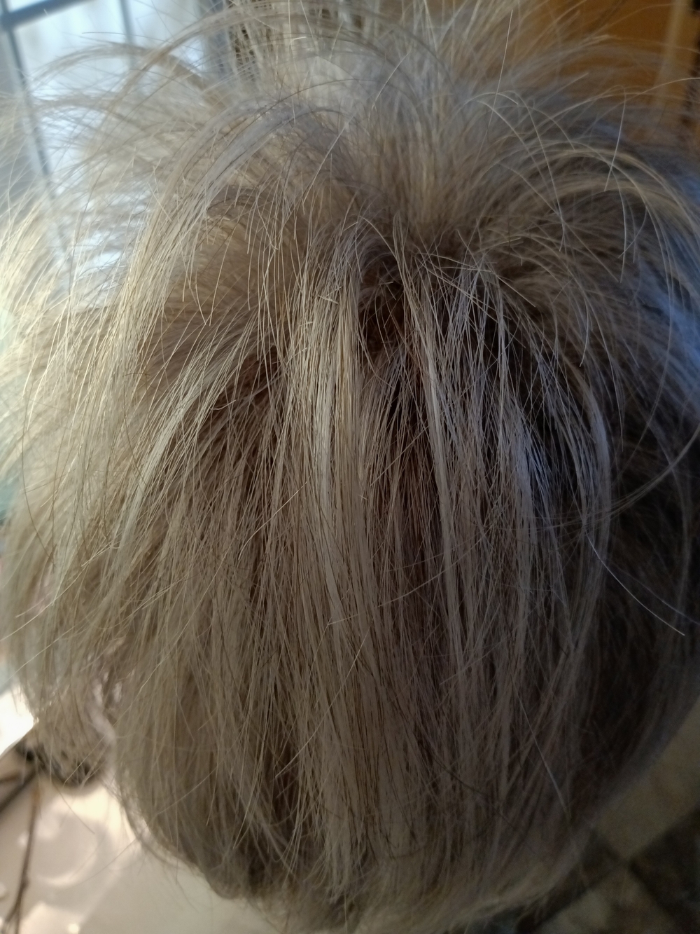 Paula Young Rayne Synthetic Pixie Wig SF51/60 Silvery Moon - Picture 3 of 9
